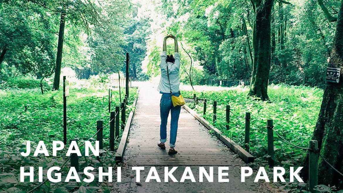 東高根森林公園散策 | Walking around Higashi Takane Park | Kanagawa, Japan