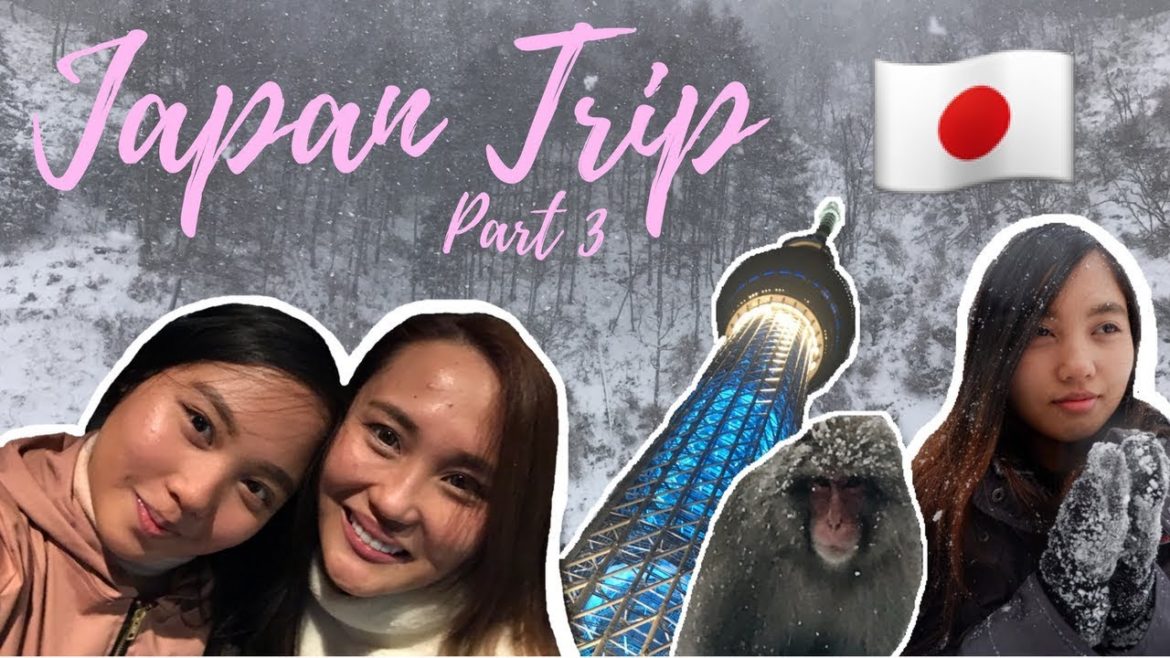 Japan Trip (Snow Monkey, Tokyo Sky Tree ++) | Part 3