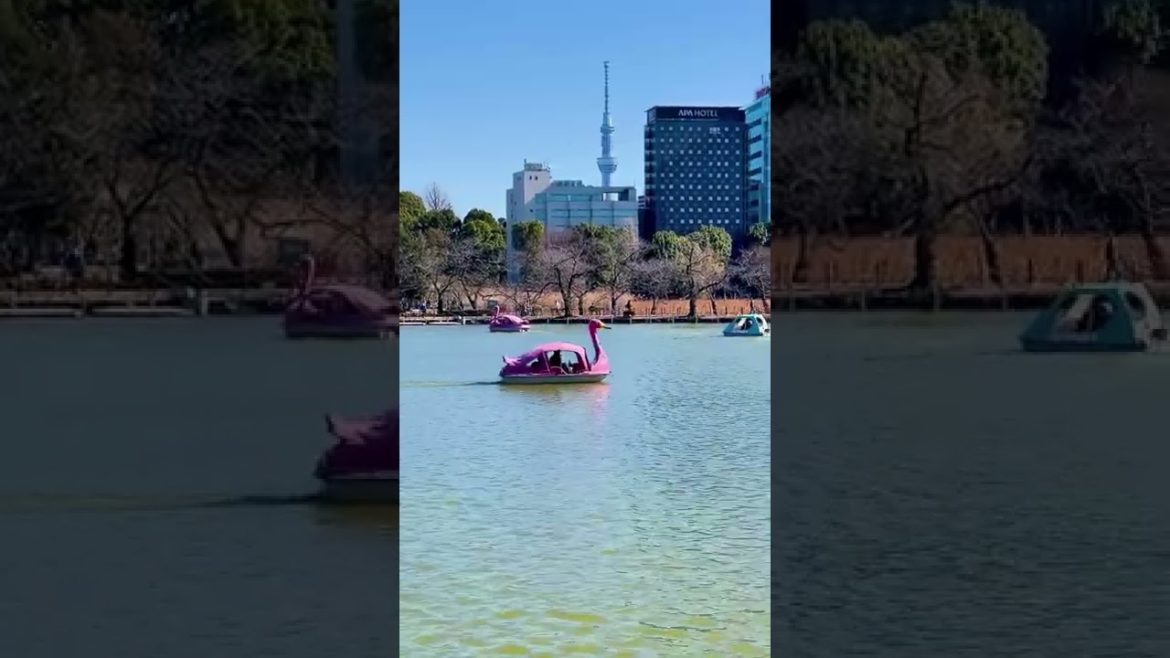 Tokyo Japan | City Short Video clip | 4K Virtual Tour | Cities Shorts | SUBSCRIBE 😊#Shorts Tokyo Japan | City Short Video clip | 4K Virtual Tour | Cities Shorts | SUBSCRIBE 😊#Shorts