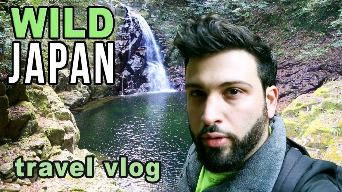 JAPAN TRAVEL VLOG: visiting the Akame 48 Waterfalls 赤目四十八滝