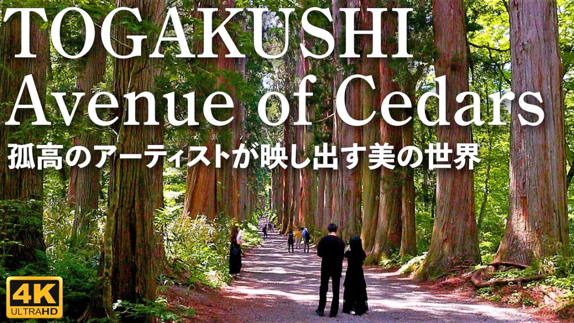 4K映像 日本の三大パワースポット【戸隠杉並木】孤高のアーティストが映し出す美の世界  Japan Togakushi Avenue of Cedars  リラックス 旅行 観光
