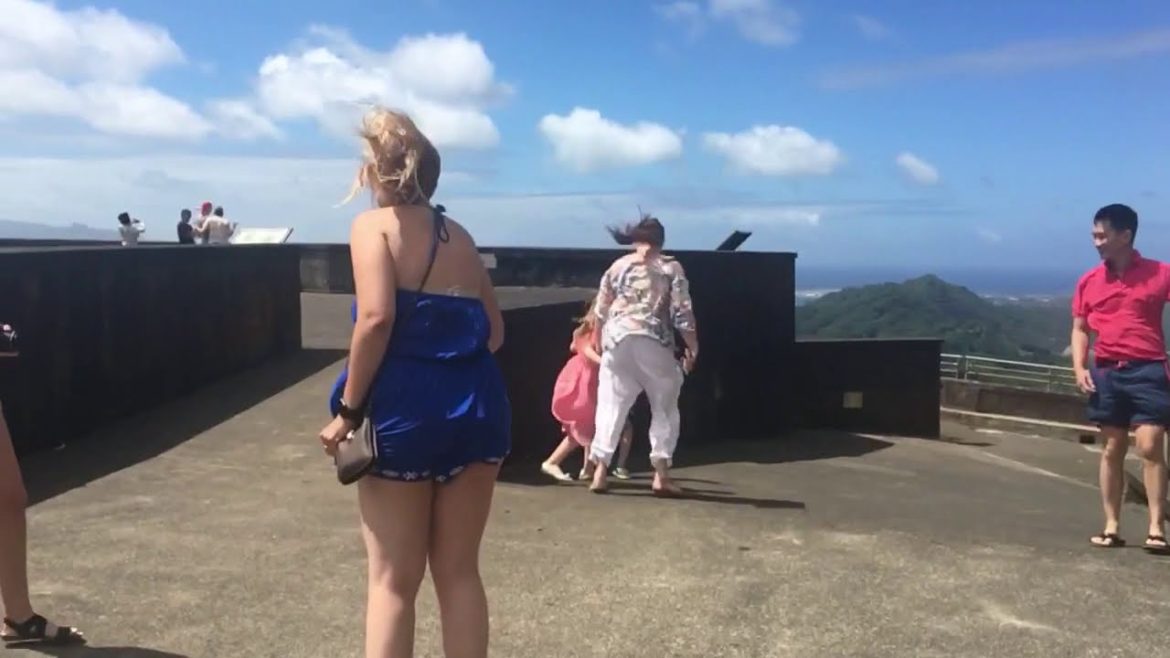 Pali lookout wind gusts. Pali lookout wind gusts.