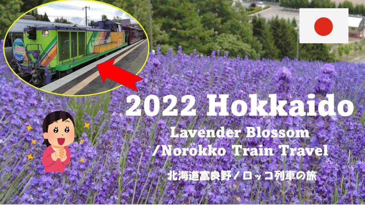 2022 /Train travel in Hokkaido_Japan / Lavender blooms / Illusionary station only existing in summer 2022 /Train travel in Hokkaido_Japan / Lavender blooms / Illusionary station only existing in summer