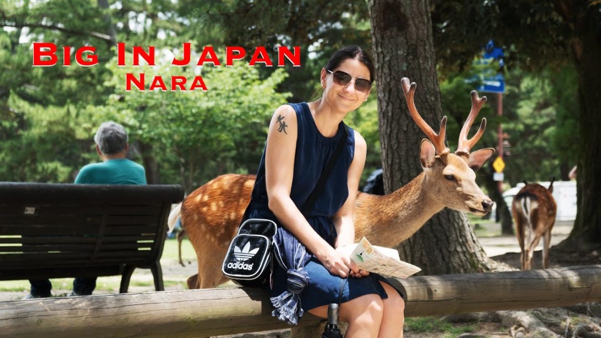 Big in Japan - My Travel Series - Nara - Deers and Fun