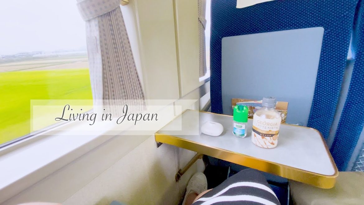 Living in Japan | Rainy day travel to Nikko🌧| early autumn🍂 Living in Japan | Rainy day travel to Nikko🌧| early autumn🍂