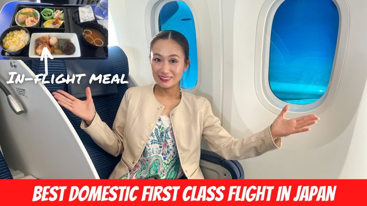 Flying Restaurant🍱Domestic First Class Flight Experience✈️ANA PREMIUM CLASS