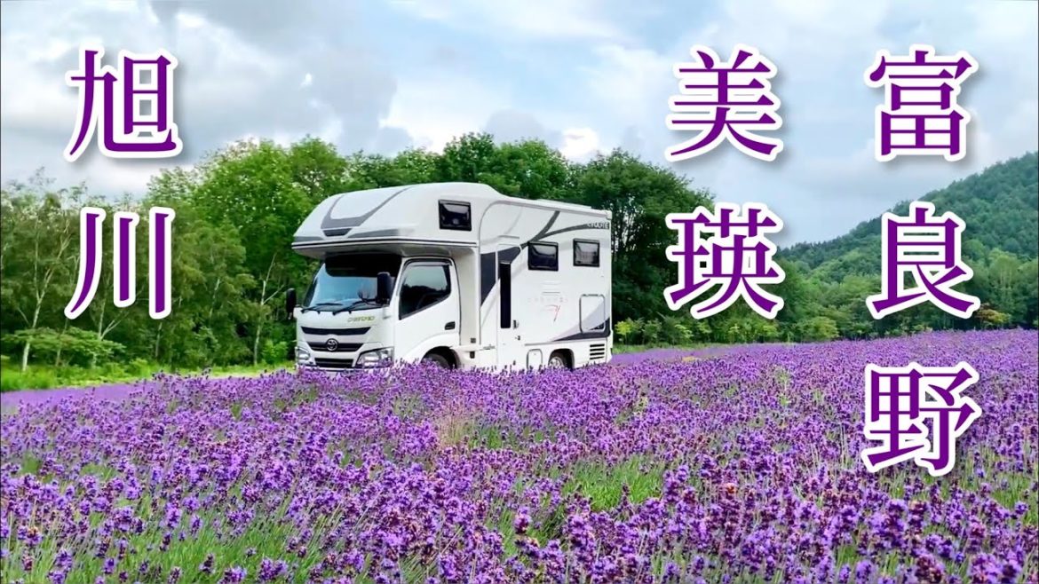 【キャンピングカーで猫と車中泊の旅】旭川・美瑛・富良野編【クレソンジャーニー】
