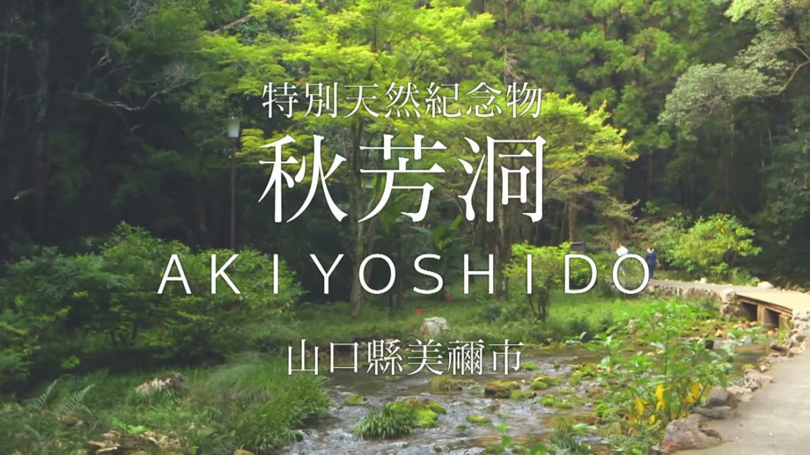 秋芳洞　繁體中文