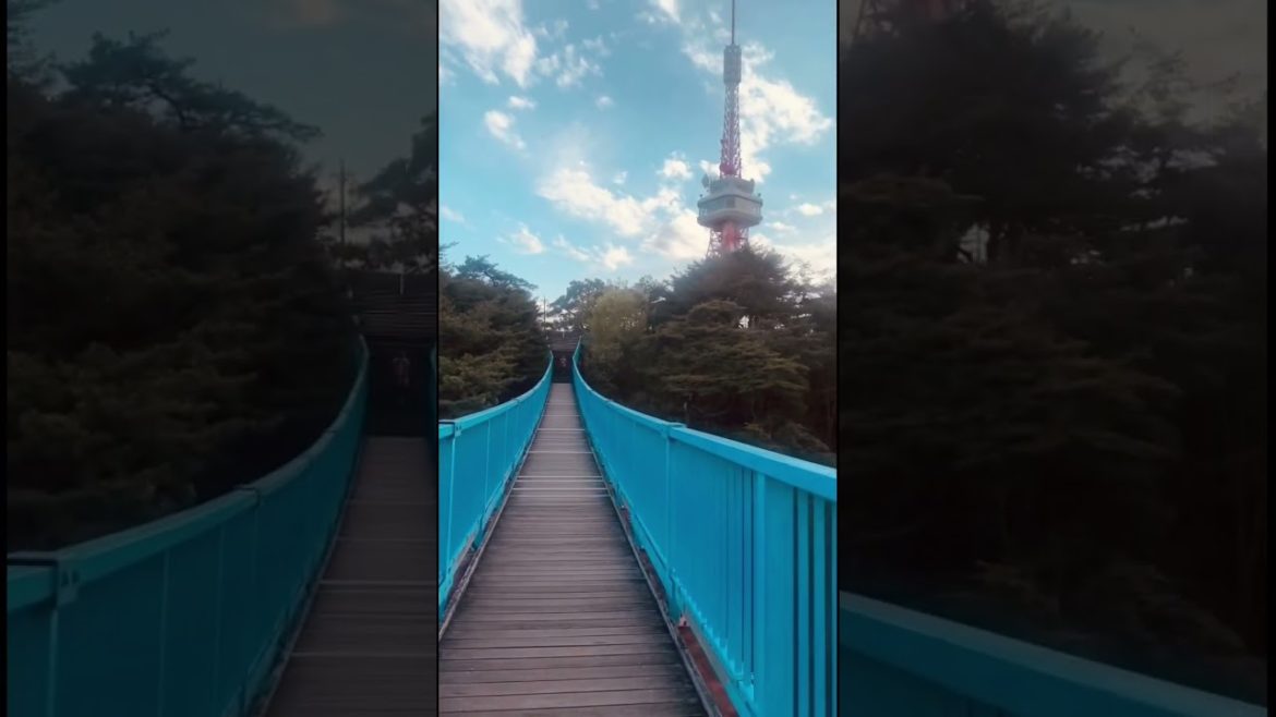 Utsunomiya, Japan #ytshorts #traveljapan #japan #travelshorts