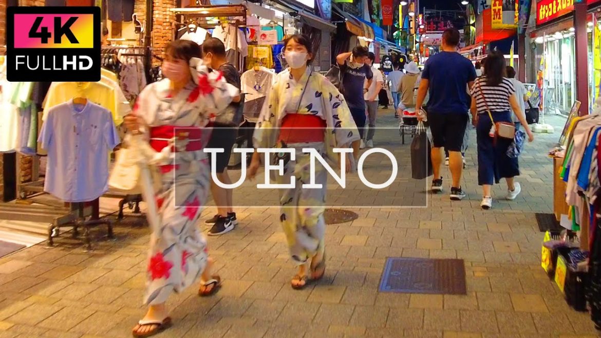 【4K】Night walk in Ueno Ameyoko shopping street on a holiday. (Aug.2022) | 東京 休日の上野のアメ横を夜散歩