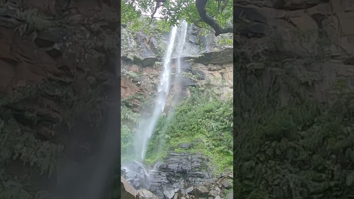 【沖縄観光】八重山諸島の西表島ピナイサーラの滝 #shorts