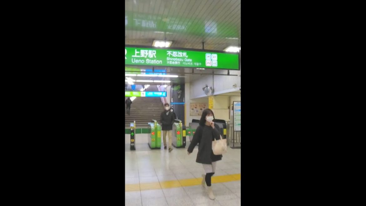 HIGH SPEED Ueno to Tokyo Station - POV