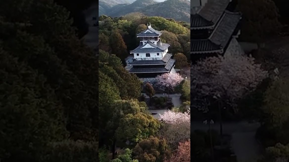 Japan Is Amazing #shorts Japan Is Amazing #shorts