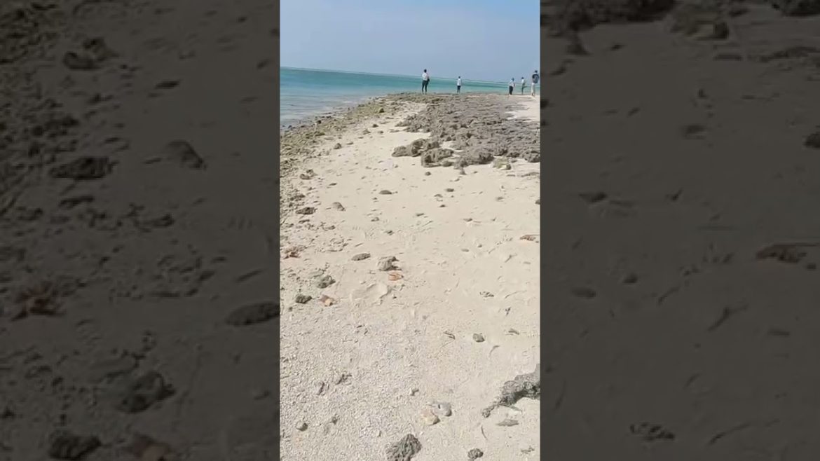 【沖縄観光】八重山諸島の竹富島カイジ浜 (星砂の浜) #shorts