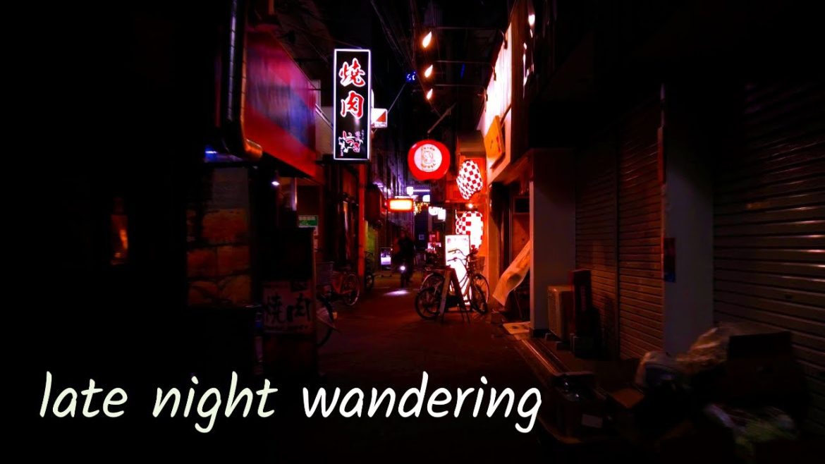 Walking JAPAN | Osaka late night wandering.