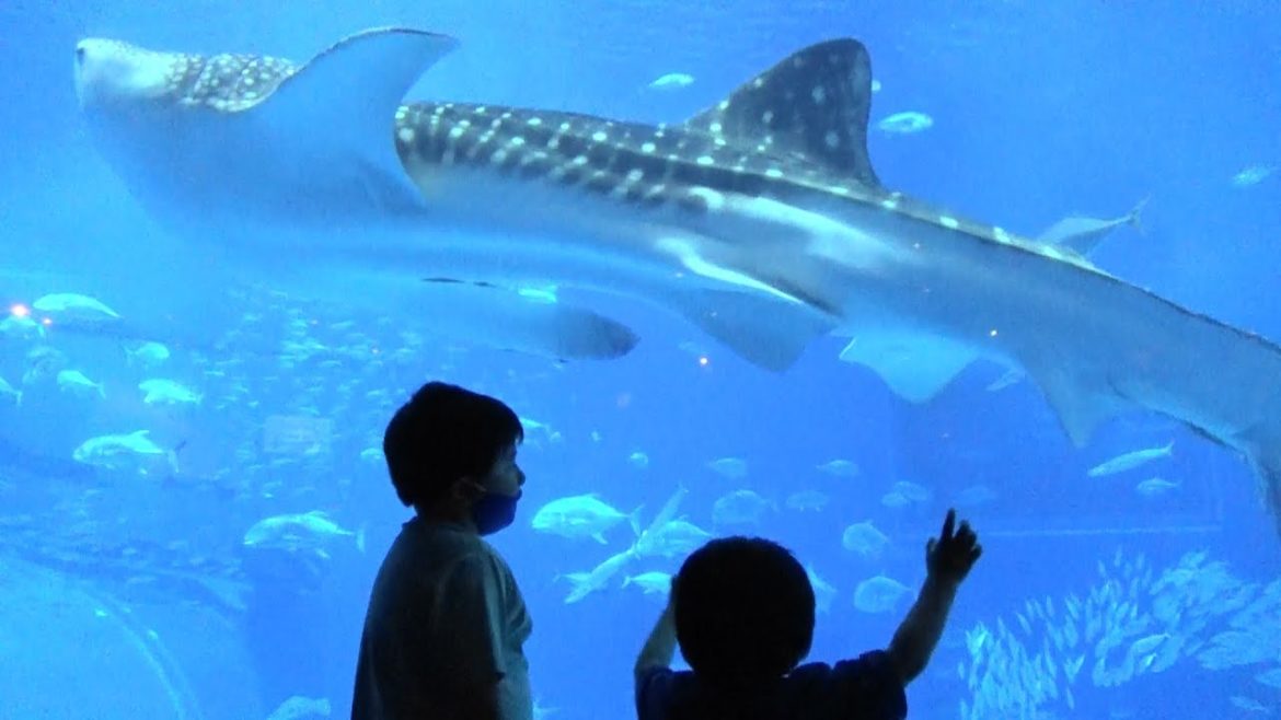 【Trip to Okinawa Vol.4】