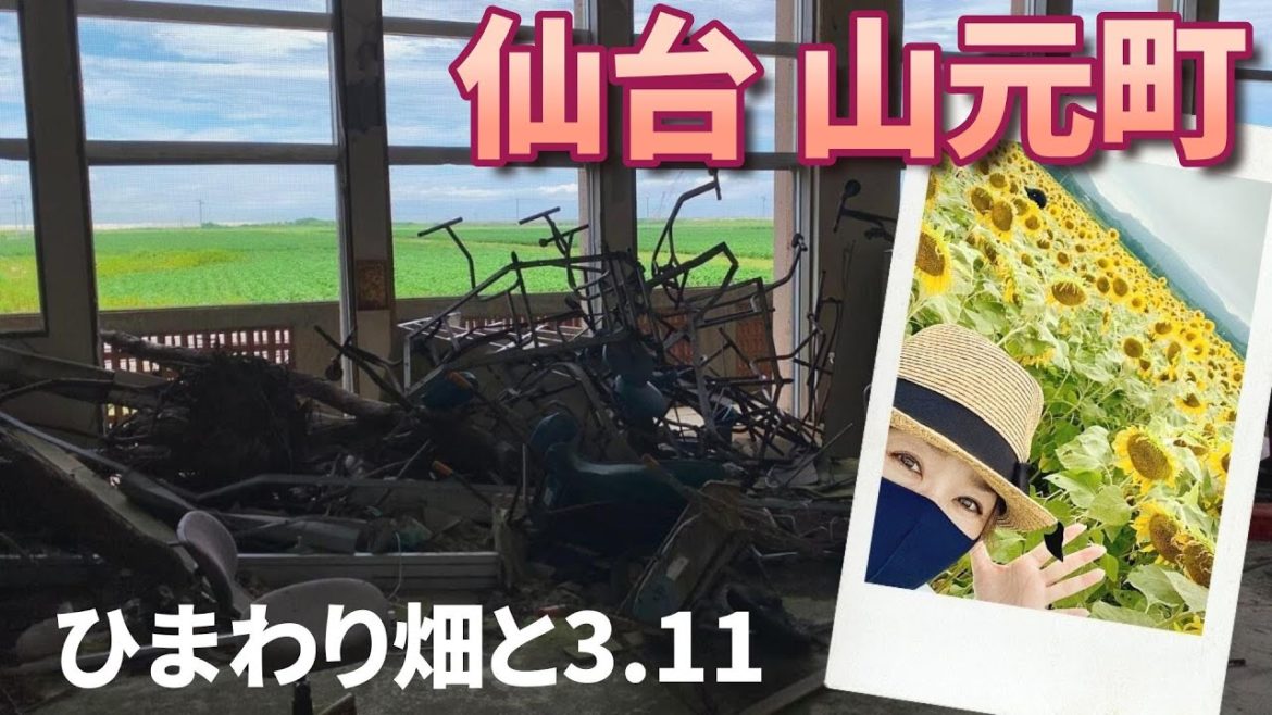 仙台【山元町】ひまわり畑と震災遺構をめぐる旅