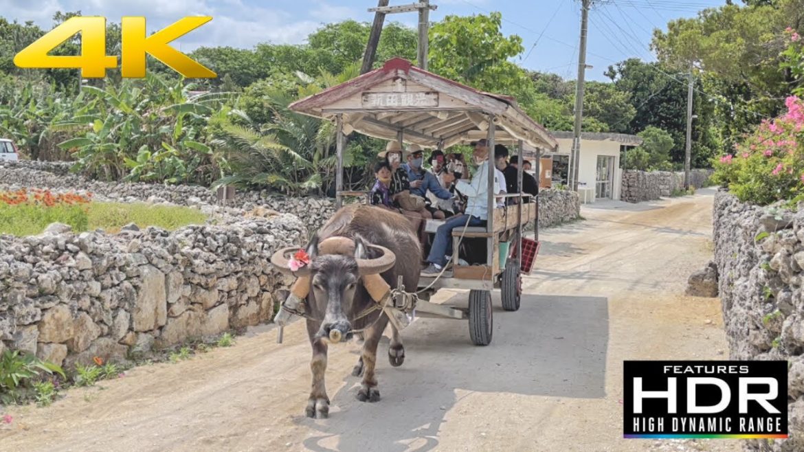 🏝️ [4K HDR] Let's Explore Taketomi Island In Okinawa, Traditional Ryukyu Village & Beautiful Beaches