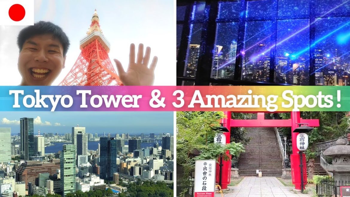 【Tokyo Tower Tour】Let's See the Day & Night View and Visit 3 Amazing Spots around the Tower!