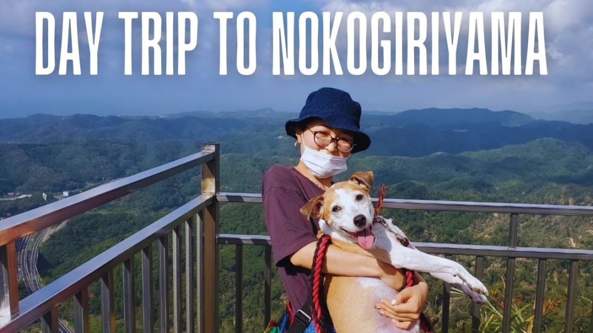 Road Trip To Nokogiriyama Japan! [Alternative to Kamakura]