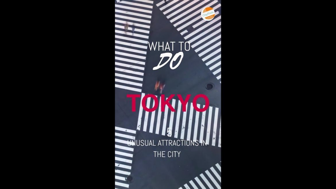Unusual Attractions in Tokyo #shorts - ( What To Do In Tokyo ) #travel #tokyo #japan