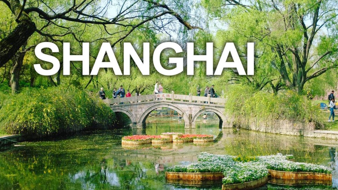 Most Beautiful Park in Shanghai | Gongqing Forest Park