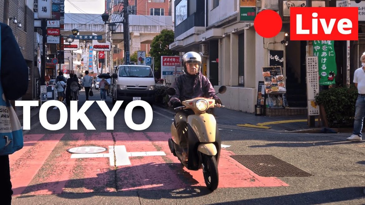 Tokyo LIVE Exploring Summer Sunday Afternoon