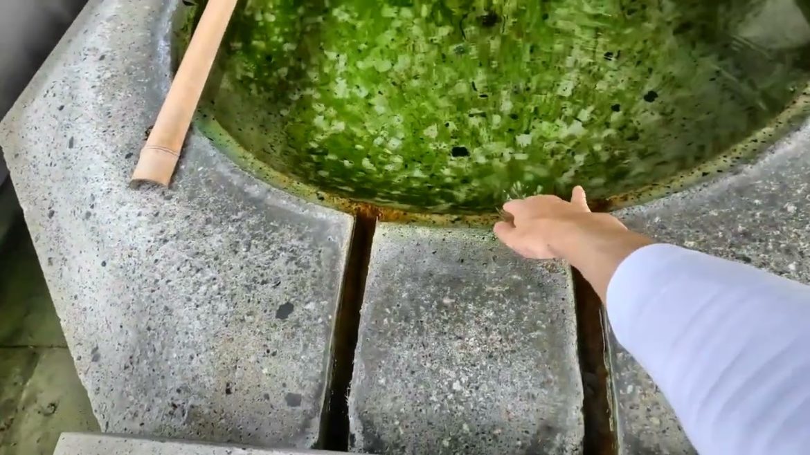【 770】Japanese traditional Onsen luxury inn   Araya Totoan with open air bath