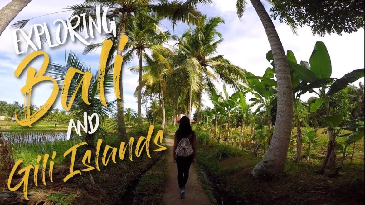 Epic Bali Trip | Gili Islands, Nusa Lembongan & Mainland | Tom Voyage! Epic Bali Trip | Gili Islands, Nusa Lembongan & Mainland | Tom Voyage!