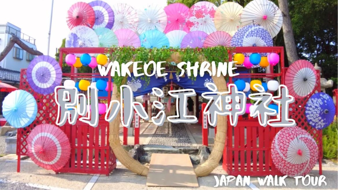Japan Walk Tour 【Wakeoe Shrine】めちゃくちゃ可愛い♡別小江神社