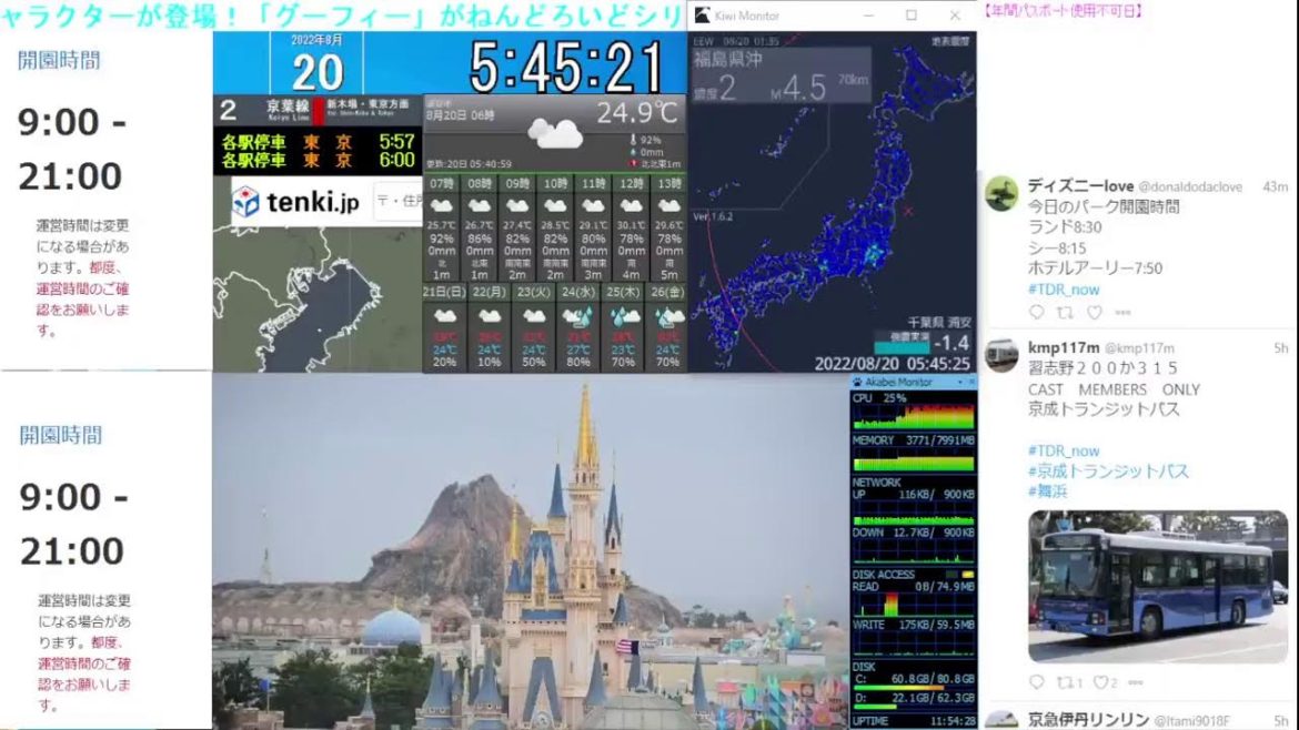【 ディズニーライブカメラ  DisneyLiveCam 】 ディズニー・ライト・ザ・ナイト ライナイ 花火 舞浜 浦安 天気 地震 鉄道 飛行機 現地情報 ディズニーランド ディズニーシー