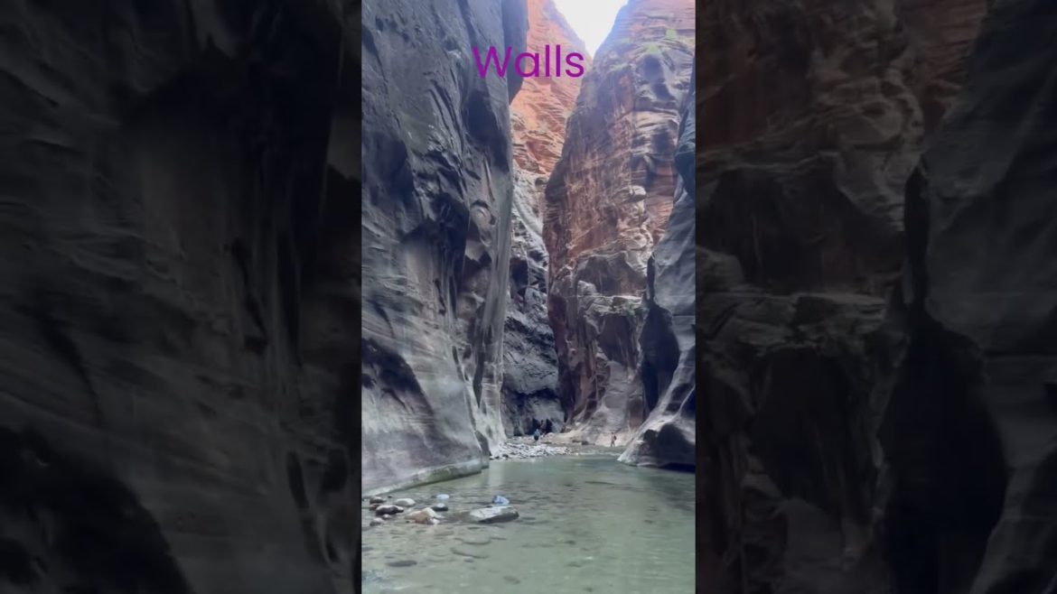 Do You Know?🤔The Narrows👍 Zion National Park 😎🤩 #travel #vacation #facts