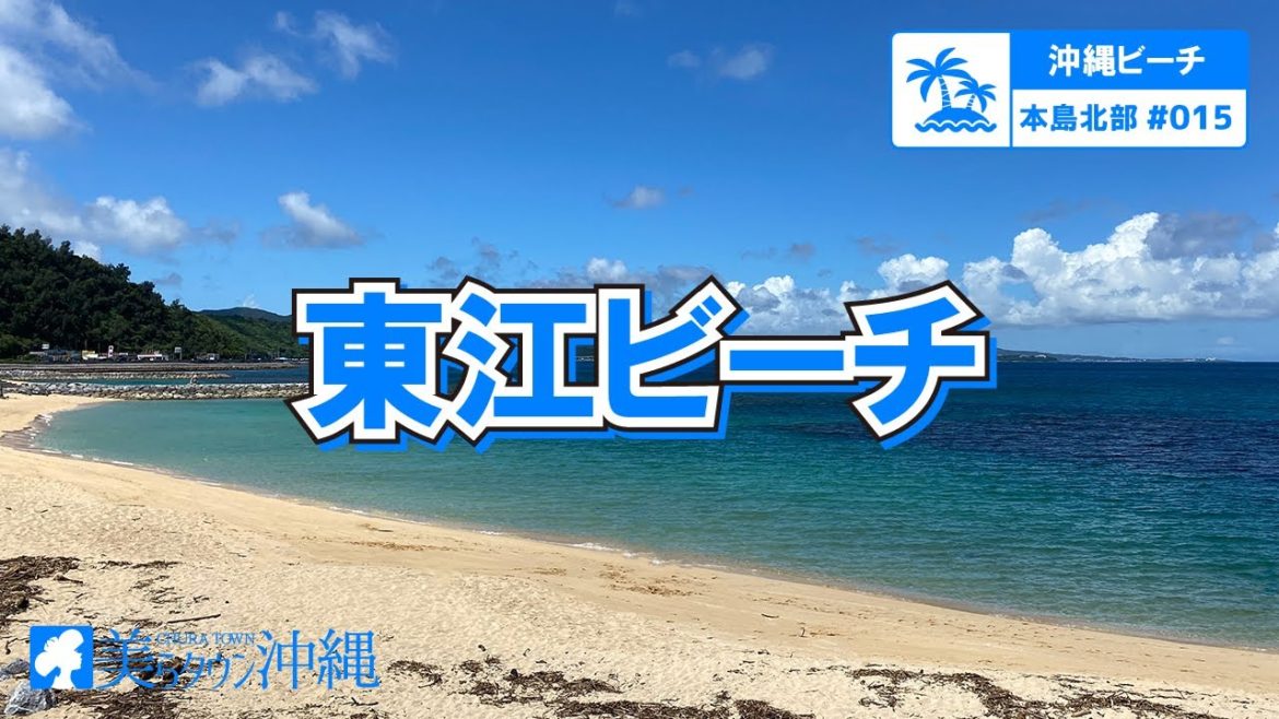 【沖縄ビーチ】本島北部 #015 東江ビーチ（名護市）