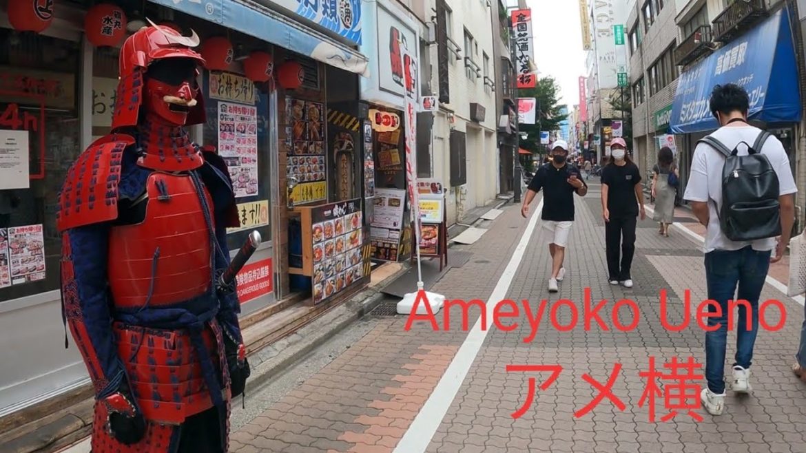 Ameyoko  Pub Street Tokyo walking tour| 上野アメ横を散歩 【4K】