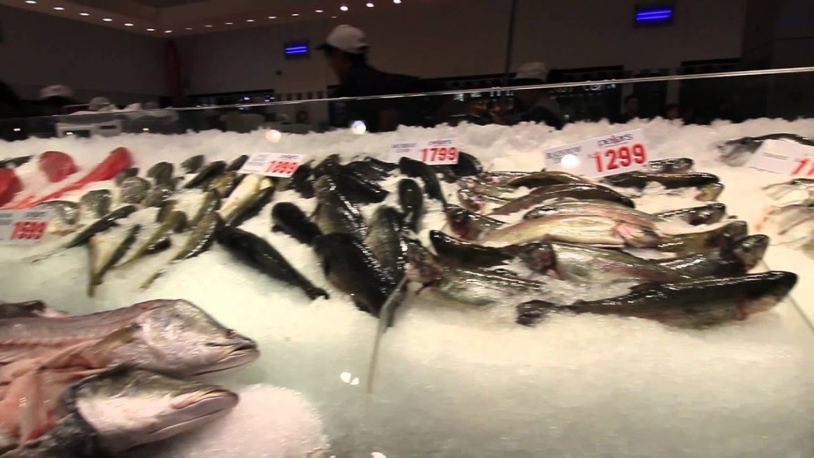 #1 Tourist Attraction in Sydney for Eating : Sydney Fish Markets #1 Tourist Attraction in Sydney for Eating : Sydney Fish Markets