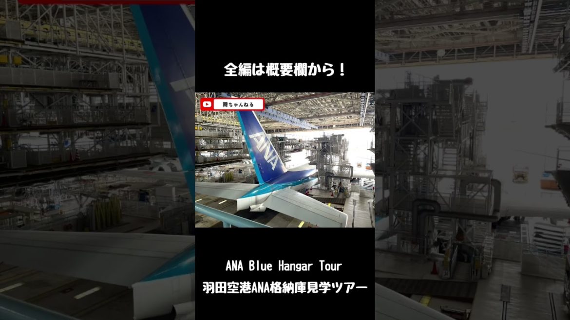 ANA Blue Hangar Tour