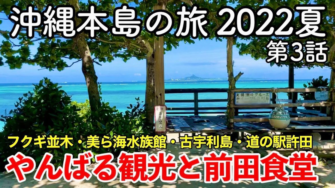 【沖縄旅行】沖縄本島の旅 2022夏 第3話 〜やんばる観光と前田食堂〜 【沖縄美ら海水族館・備瀬のフクギ並木・古宇利島・ハートロック・道の駅許田・リカリカワルミ・大宜味シークヮーサーパーク】 【沖縄旅行】沖縄本島の旅 2022夏 第3話 〜やんばる観光と前田食堂〜 【沖縄美ら海水族館・備瀬のフクギ並木・古宇利島・ハートロック・道の駅許田・リカリカワルミ・大宜味シークヮーサーパーク】