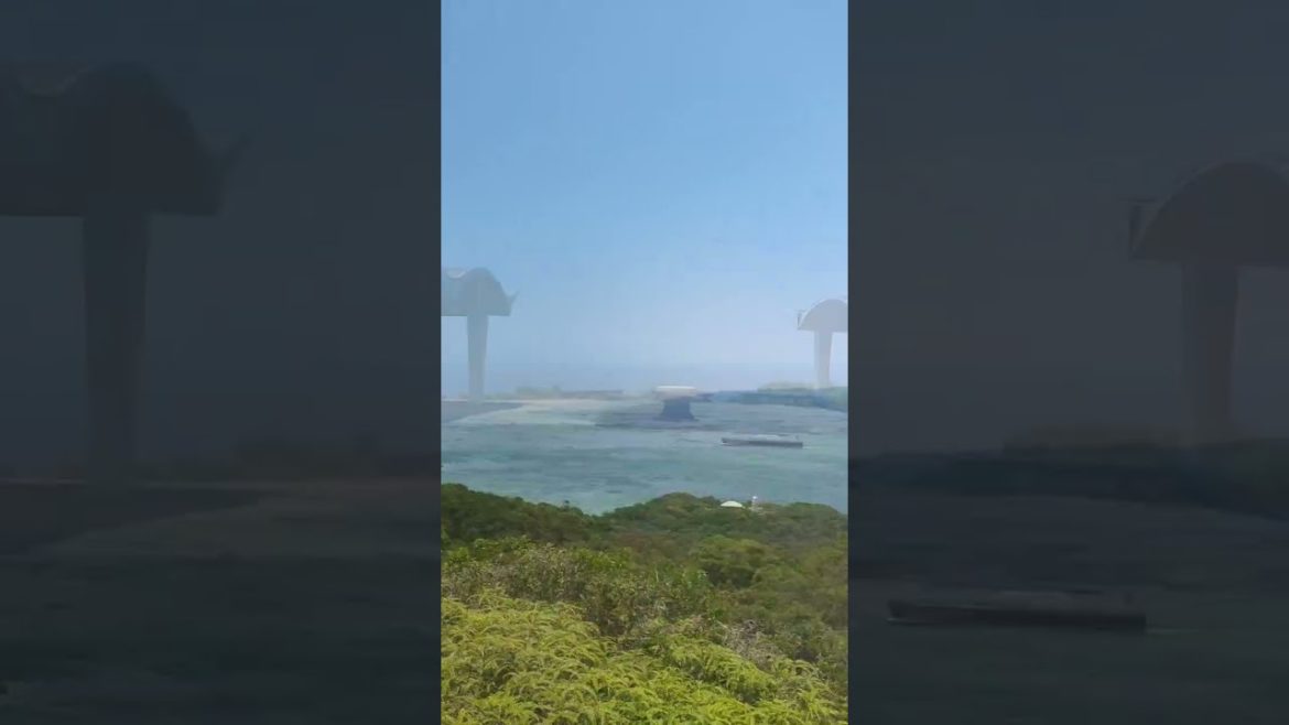 気軽に行ける無人島!自然と絶景と廃墟のジブリな世界が広がる友ヶ島 #shorts #japantravel 気軽に行ける無人島!自然と絶景と廃墟のジブリな世界が広がる友ヶ島 #shorts #japantravel