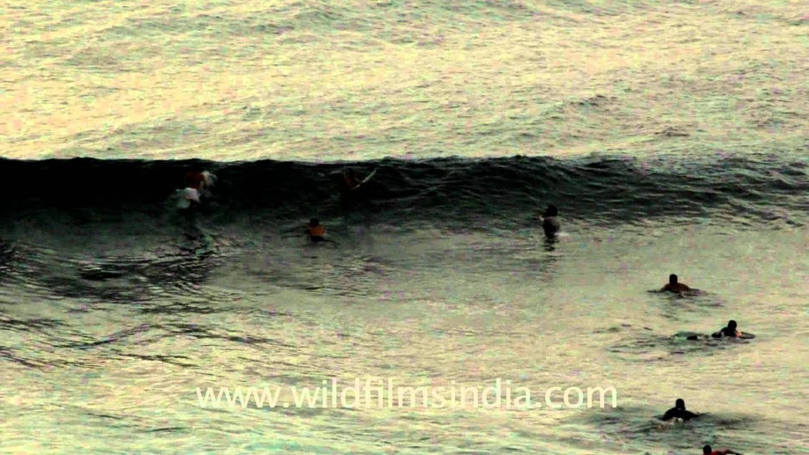 Surfing in Indonesia