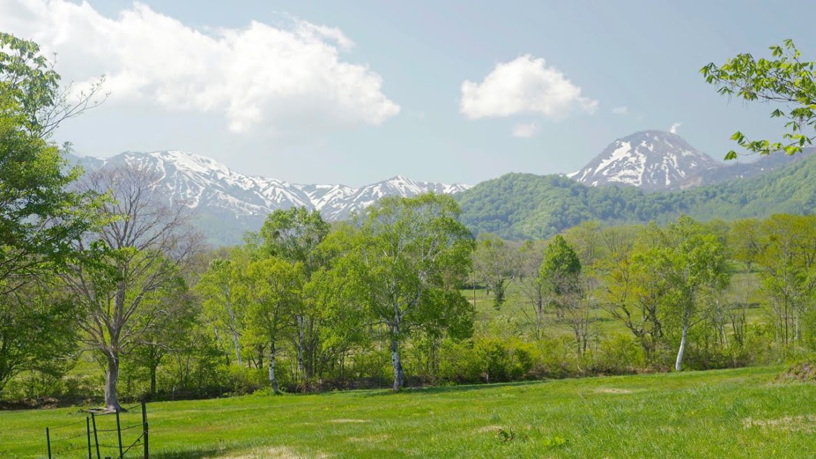 [ 4K Ultra HD ] 新緑の笹ヶ峰高原 Sasagamine plateau in fresh green (Shot on RED EPIC)