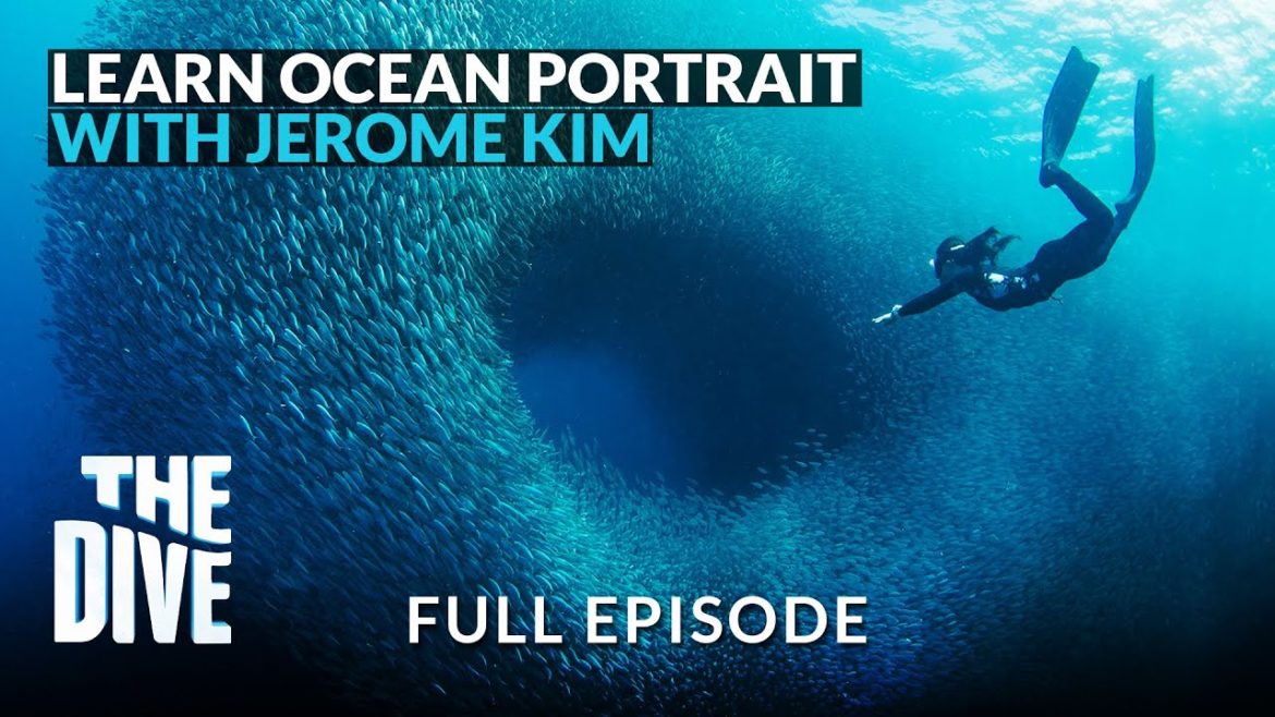 Learn Underwater Photography from Jerome Kim Learn Underwater Photography from Jerome Kim