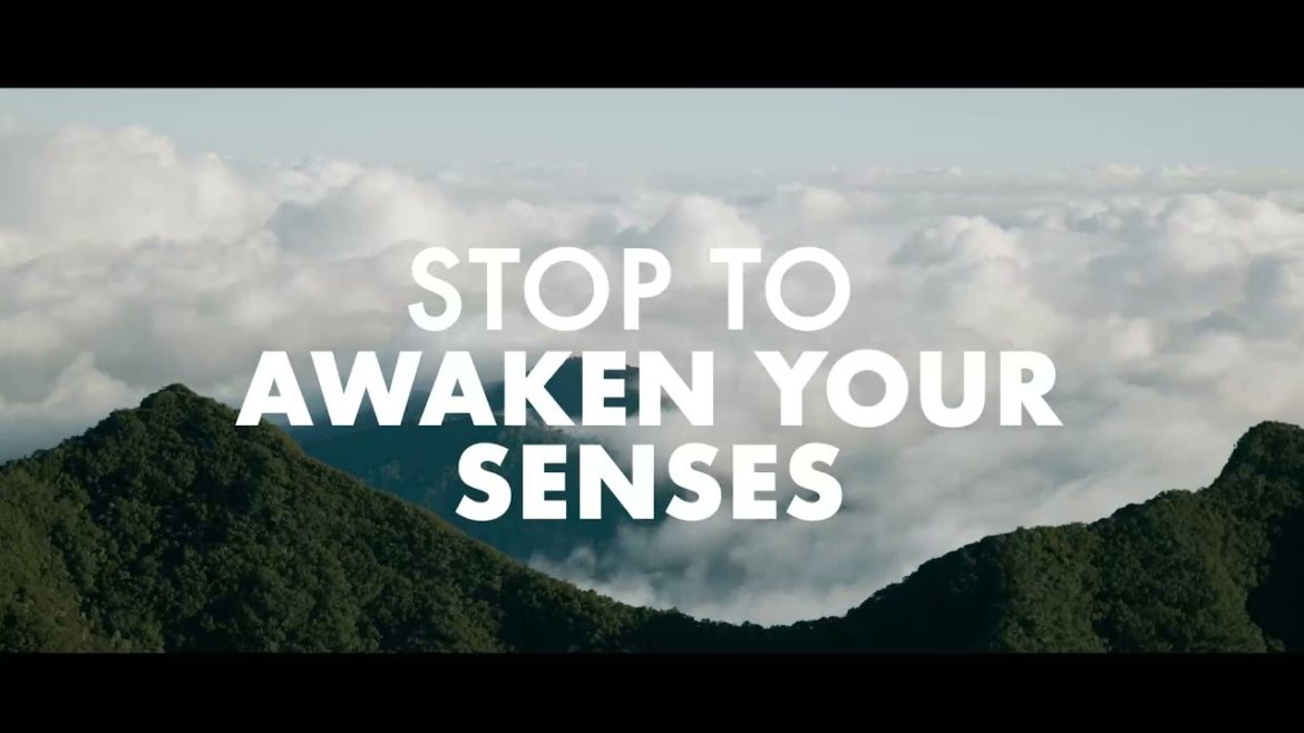 Stopover in Panama - PANAMA + COLOMBIA