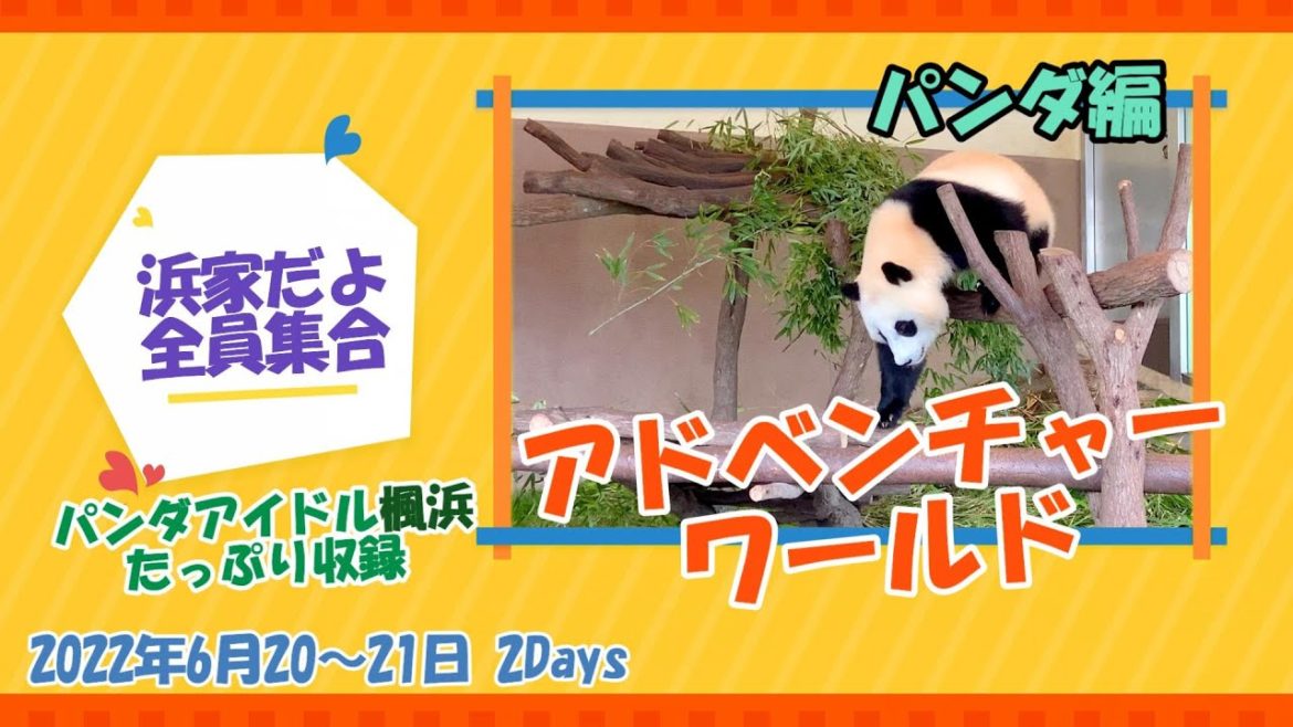 【和歌山県#1-4】アドベンチャーワールド 浜家パンダ編 ドライブ夫婦旅「国内旅行・観光47」