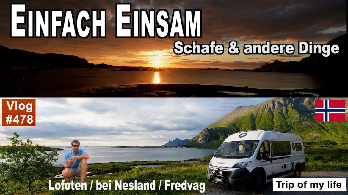 #478 Roadtrip Norwegen -  Lofoten | Einsamkeit | Mitternachtssonne und Regen | Am Ende Holzgerüst