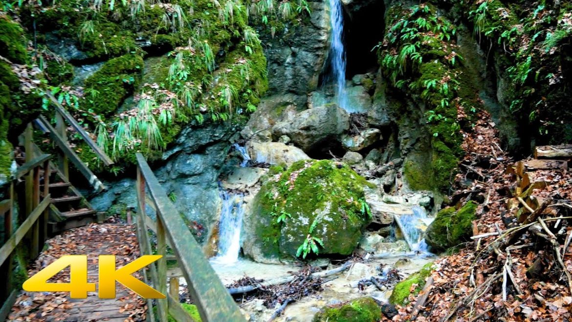 4K UHD Virtual Hiking Tour – Waterfalls – Early Spring Forest – Calming Water sound – Birds tweeting 4K UHD Virtual Hiking Tour - Waterfalls - Early Spring Forest - Calming Water sound - Birds tweeting