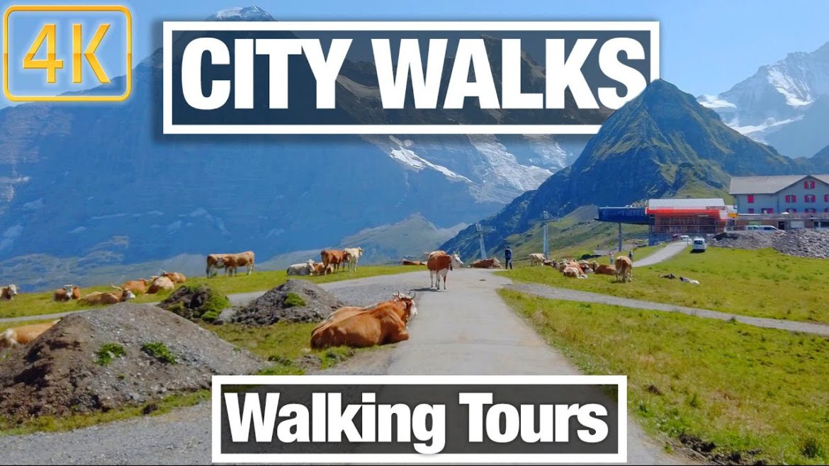 City Walks: Travel the World from Home While you Exercise