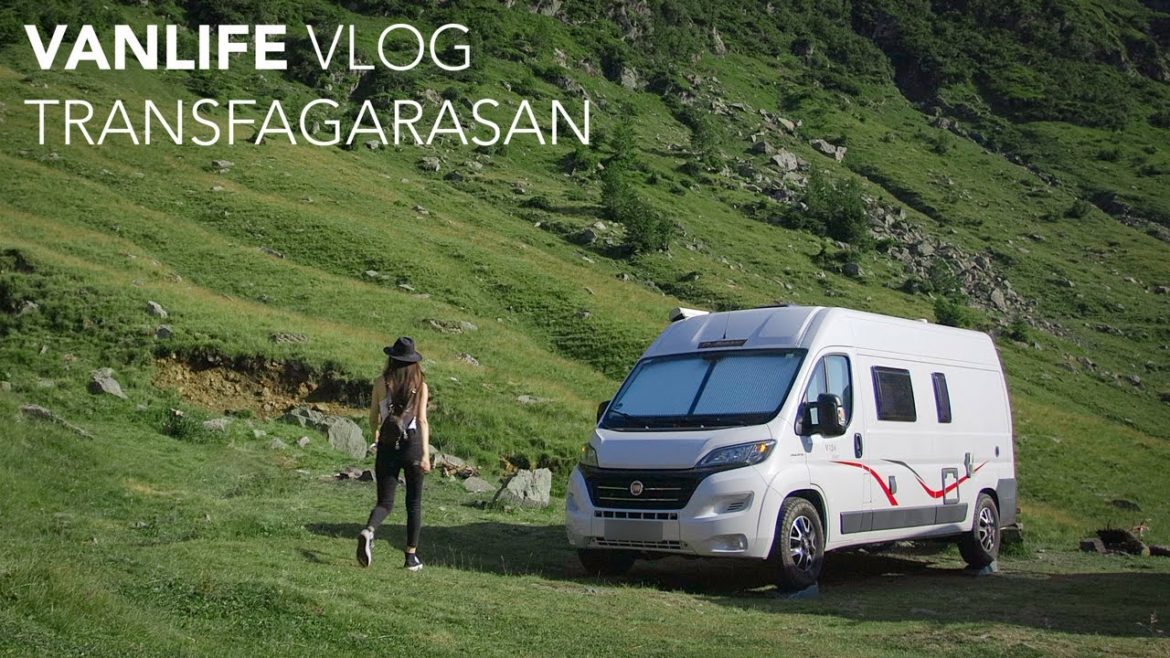VANLIFE on Transfagarasan | BEAR ENCOUNTER | Campfire Cooking | ASMR