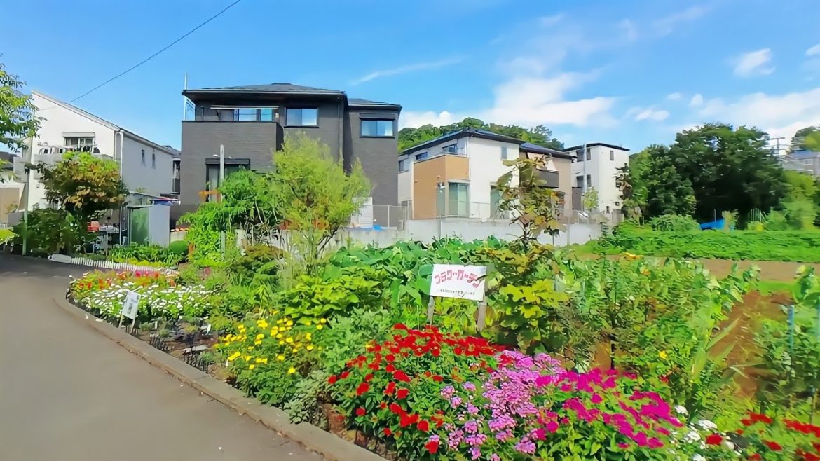 Walking Tour: Japanese Countryside Walking Tour | Countryside Village in Kanagawa Japan Walking Tour: Japanese Countryside Walking Tour | Countryside Village in Kanagawa Japan