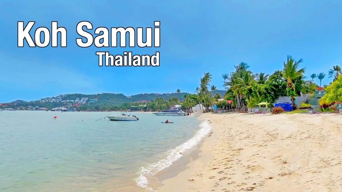 Koh Samui, Thailand πΉπ- Bangrak Beach Koh Samui 2022 – Walking Tour Koh Samui, Thailand πΉπ- Bangrak Beach Koh Samui 2022 - Walking Tour
