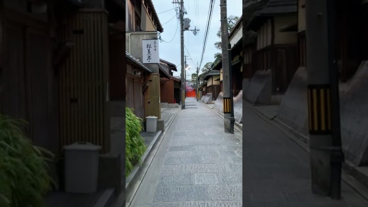 Walking Through Gion District Kyoto, Japan #shorts
